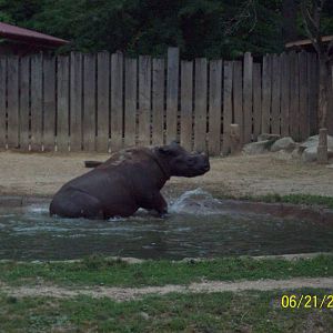 Cleveland Metroparks Zoo