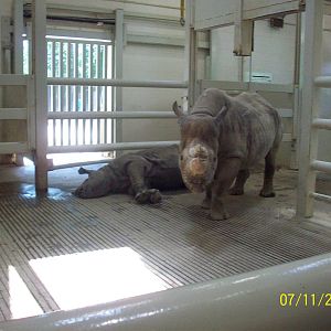 Cleveland Metroparks Zoo