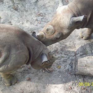 Cleveland Metroparks Zoo