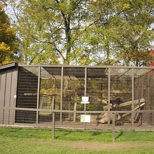 Jaguar-Cage in Twin-Vally-Zoo
