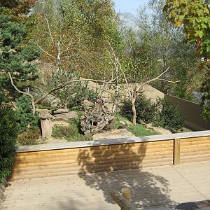 Open topped Squirrel enclosure