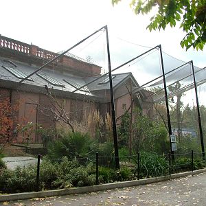 Blackburn Pavilion at London Zoo Oct 08