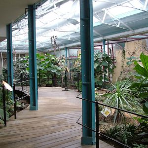 Blackburn Pavilion at London Zoo Oct 08