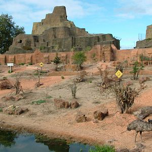 Mappin Terraces Outback at London Zoo Oct 08