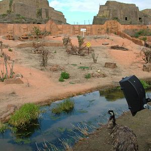 Mappin Terraces Outback at London Zoo Oct 08