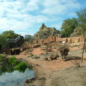 Mappin Terraces Outback at London Zoo Oct 08