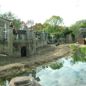 Mappin Terraces Outback at London Zoo Oct 08