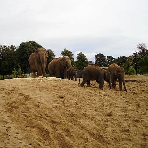 Dublin Zoo