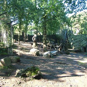 Brown Bear enclosure at the Welsh Mountain Zoo Oct 08
