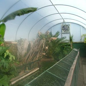 Alligator Beach at the Welsh Mountain Zoo Oct 08
