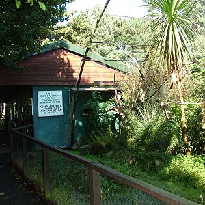 Callitrichid enclosures at the Welsh Mountain Zoo Oct 08