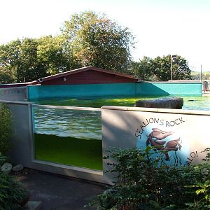 'Sealions Rock' at the Welsh Mountain Zoo Oct 08