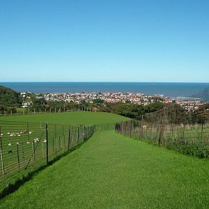 Sea view from the paddocks at the Welsh Mountain Zoo Oct 08
