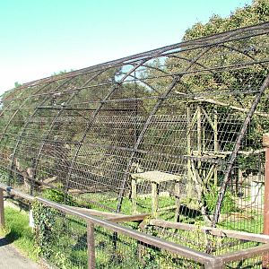 Snow Leopard enclosures at the Welsh Mountain Zoo Oct 08