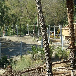Pachyderm Forest at the Los Angeles Zoo