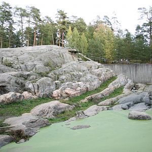 Snowleopard exhibit - Kolmården