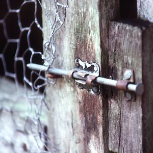 Belize Zoo: Nail securing cage door