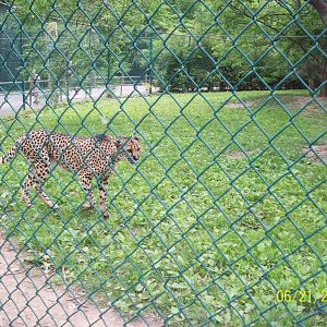 Cleveland Metroparks Zoo