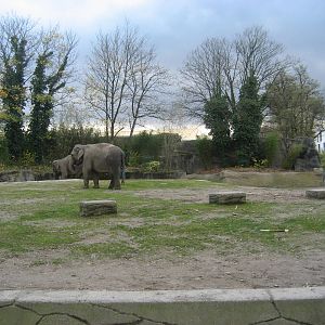 Hamburg Zoo - Elephant exhibit