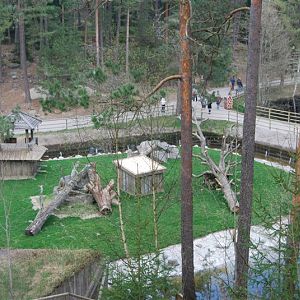 The new gorilla exbith