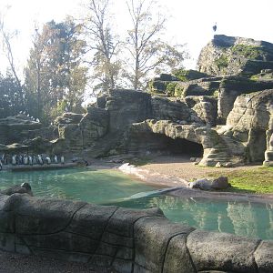 Hamburg Zoo - Penguin Exhibit