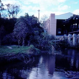 Alligator exhibit and Cablecar Terminal