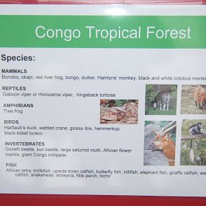 Part of Bristols Master plan for Hollywood Towers