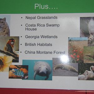 Part of Bristols Master plan for Hollywood Towers