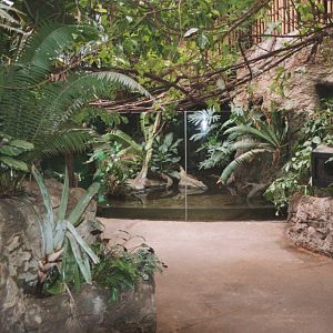 View of the Crocodile Cove