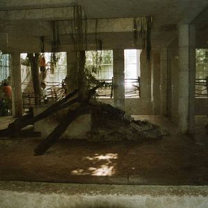 Temple of the Jaguar