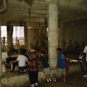 Aquarium for the Jaguar