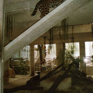 The Gangway to Freedom