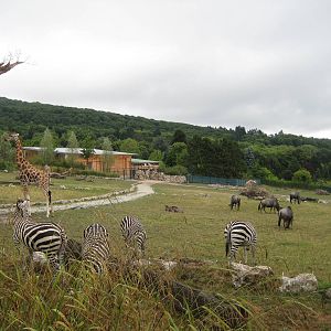 Africa savannah with stall