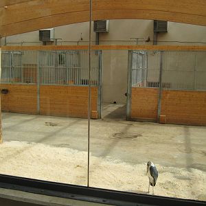 Inside the Marabou house