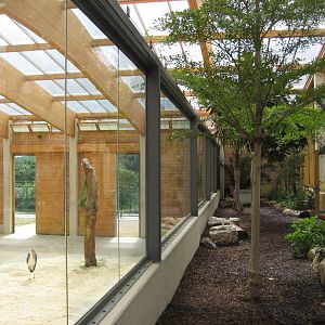 Visitor room in the giraffe house