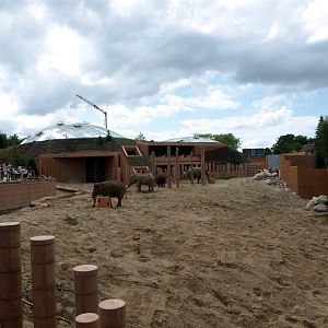 Copenhagen Zoo - Elephant House