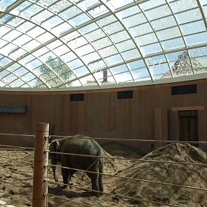 Copenhagen Zoo - Elephant House