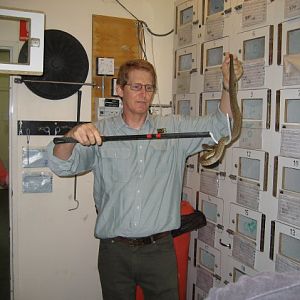 J. Weigel and P. weigeli