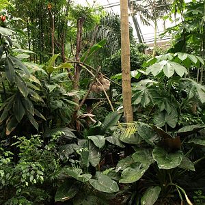 Odense Zoo - Oceanium