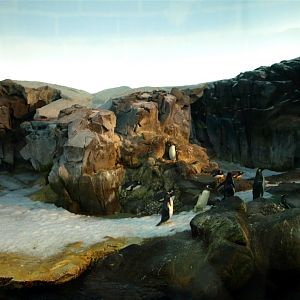 Odense Zoo - Oceanium