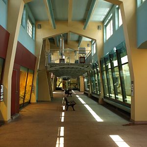 Halle Zoo - Big Cat House