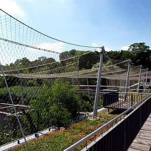 Halle Zoo - Big Cat House