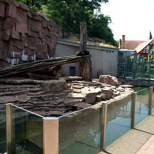 Halle Zoo - Bear Grotto