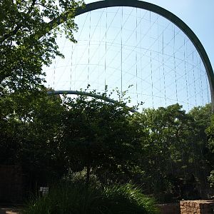 Halle Zoo - Free-flight aviary