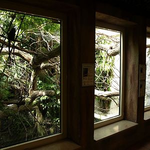 Halle Zoo - Monkey house