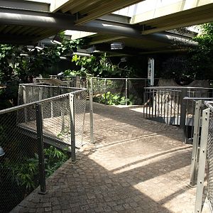 Halle Zoo - Crocodile Hall