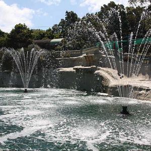 Taronga's old seal pools