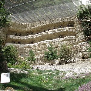 Alpenzoo Innsbruck - Ibis aviary