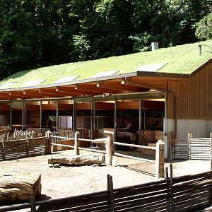 Alpenzoo Innsbruck - Farm