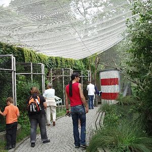 Alpenzoo Innsbruck - Walkthrough aviary
